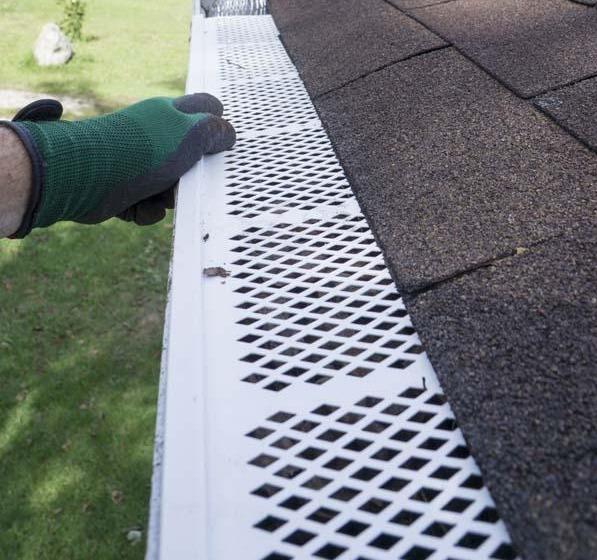 Leaf Guard Options Ajax