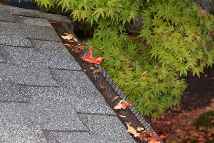 Leaf Guard Installation Services Ajax